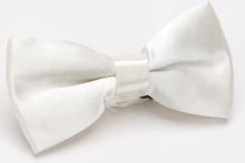 Load image into Gallery viewer, Satin Bow Ties for Kids
